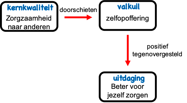 Uitdaging geeft nieuwe vaardigheid aan